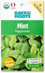 Back to the Roots Mint ‘Peppermint’ Seed Packet, 140mg, Green