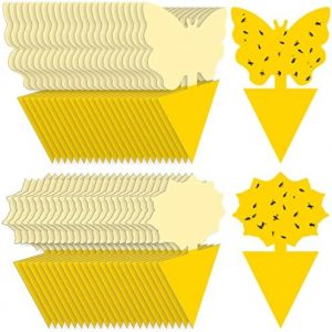 Fruit Fly Sticky Traps 48PCS Fungus Gnat Traps Bug Traps Gnat Killer for Indoor Outdoor House Kitchen Plants Whitefly Mosquitos Flying Insects JPM0149 Yellow Designed by JPMOS