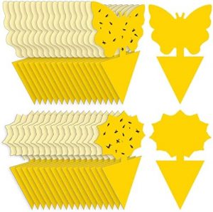 Fruit Fly Traps Fungus Gnat Traps Yellow Sticky Bug Traps 36 Pack Non-Toxic and Odorless for Indoor Outdoor Use Protect The Plant