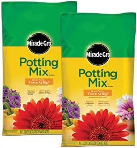Miracle-Gro Potting Mix, 8 qt. (2 Pack)