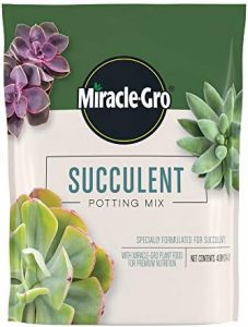 Miracle-Gro Succulent Potting Mix: Fertilized Soil with Premium Nutrition for Indoor Cactus Plants, Aloe Vera and More, 4 qt.