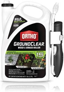 Ortho GroundClear Weed & Grass Killer Ready-to-Use – Grass Weed Killer Spray, Use in Landscape Beds, Around Vegetable Gardens, on Patios & More, Broadleaf Weed Killer, See Results in 15 Minutes, 1 gal