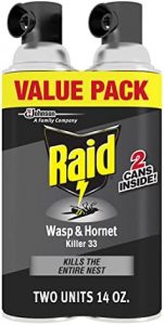Raid Wasp & Hornet Killer Spray, Bug Killer Kills the Entire Nest, 14 Oz, 2 Count