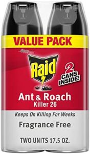 Raid® Ant & Roach Killer Spray, Fragrance-Free, 17.5 Oz, Pack Of 2