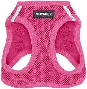 Voyager Step-in Air Dog Harness – All Weather Mesh Step in Vest Harness for Small and Medium Dogs by Best Pet Supplies – Harness (Fuchsia), Small
