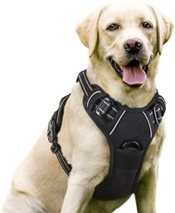 rabbitgoo Dog Harness, No-Pull Pet Harness with 2 Leash Clips, Adjustable Soft Padded Dog Vest, Reflective No-Choke Pet Oxford Vest with Easy Control Handle for Large Dogs, Black, L