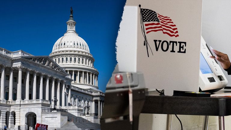 Most House Democrats support allowing noncitizens to vote in DC.