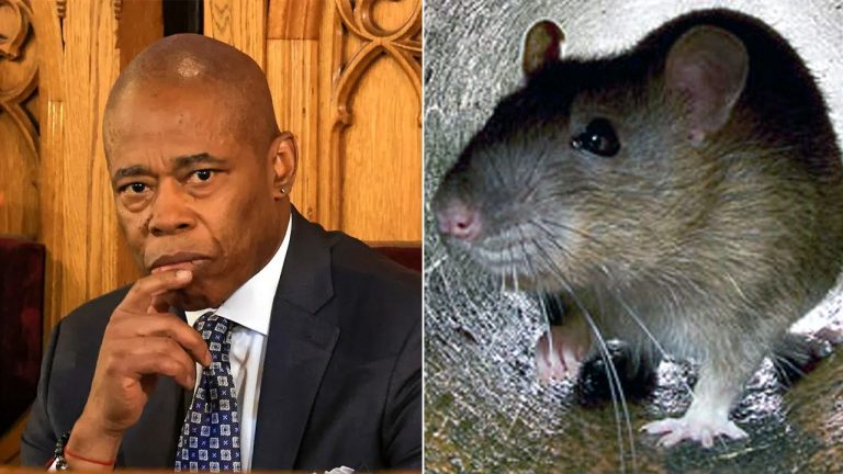 NYC Mayor Eric Adams hosts summit to address rat problem in city.