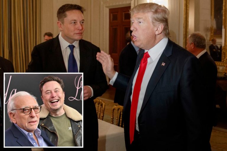 Report: Trump thinking about asking Elon Musk to join his advisory board