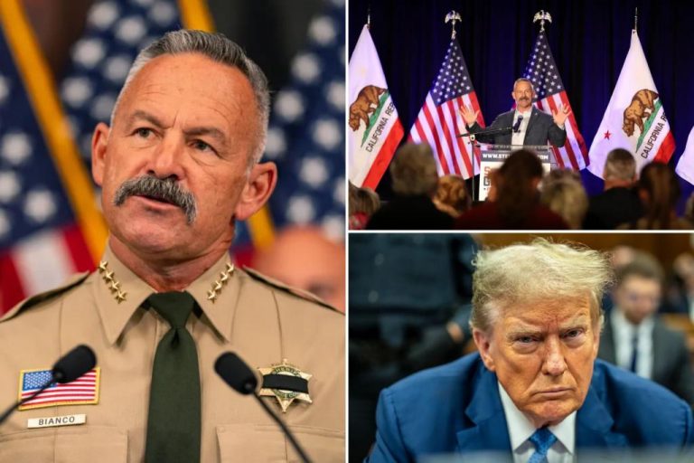 California sheriff jokes about supporting Trump despite criminal record