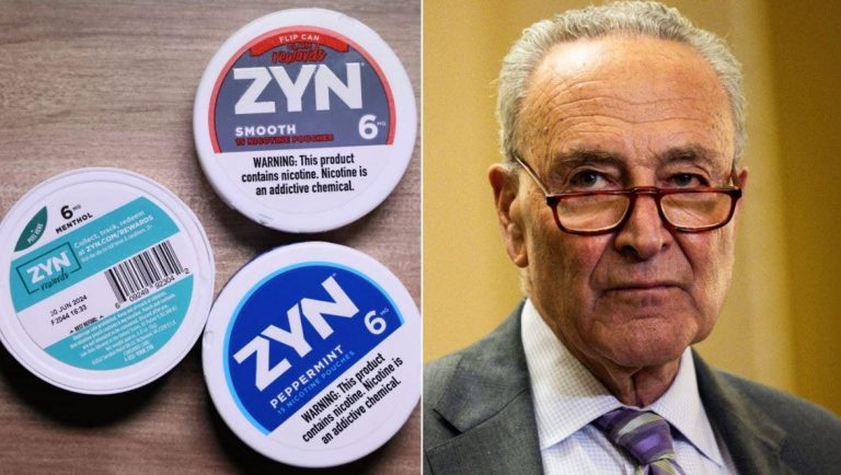 Conservative groups spend big money to stop Democrats banning Zyn: ‘Protect our pouches’