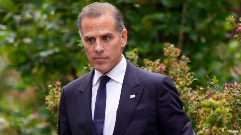 Hunter Biden’s law license suspended by DC Bar due to felony conviction