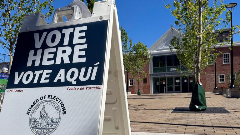 Over 500 noncitizens registered to vote in DC Council elections amid House investigation.