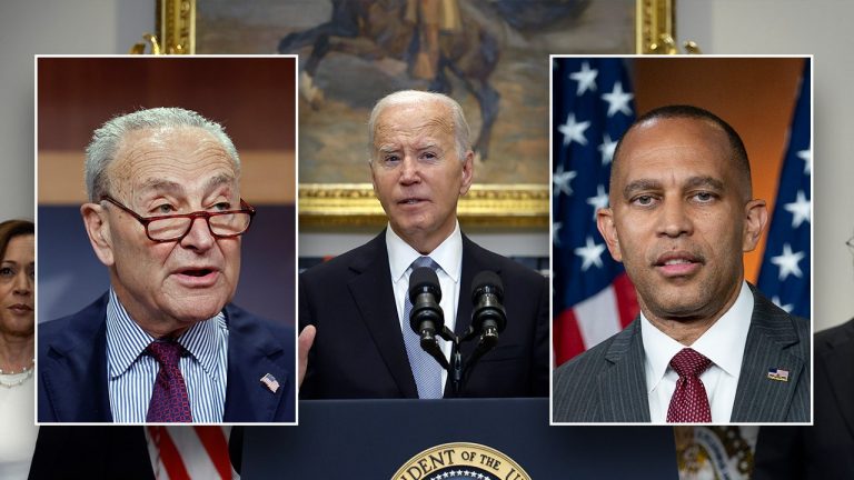 Schumer advises Biden to not run for re-election: report