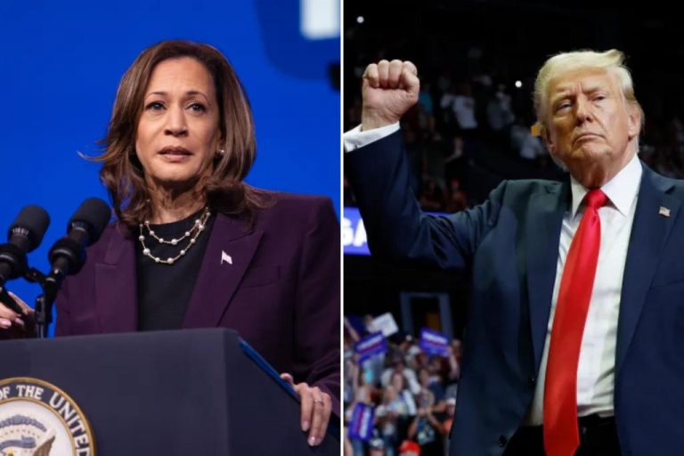 Donald Trump leads Kamala Harris in swing-state polls.