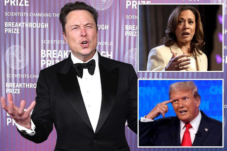 Elon Musk criticizes Kamala Harris for ‘lying’ about Trump on X