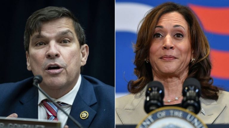 House Democratic representative from border district avoids answering questions about Kamala Harris’ immigration history: “Was she in charge of the border?”