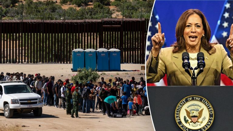 Harris campaign shared study showing advantages of not deporting illegal immigrants.