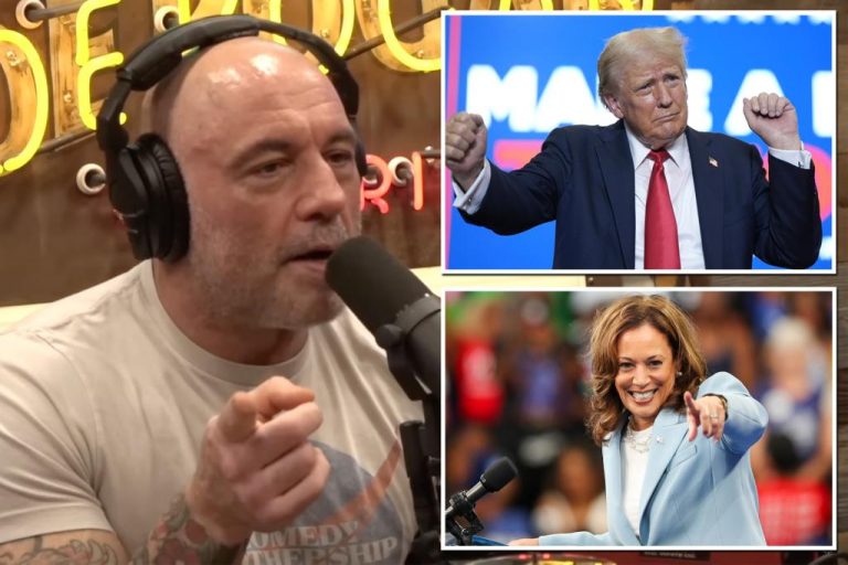 Joe Rogan believes Kamala Harris can beat Donald Trump in the election.