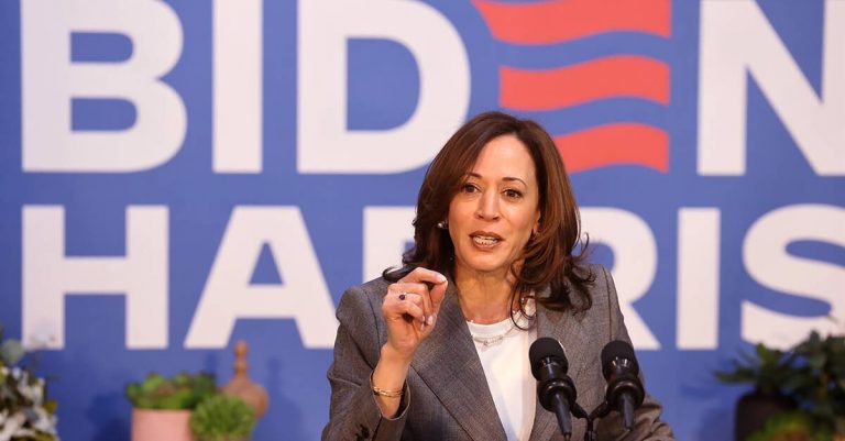 Lessons from Kamala Harris’ 2020 Campaign