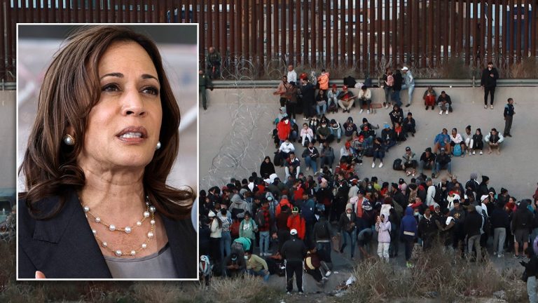 NYC mayor suggests changes to Harris border strategy after talking with her team.