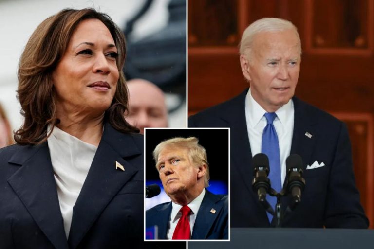 Trump is ready to lead while Democrats support Kamala.