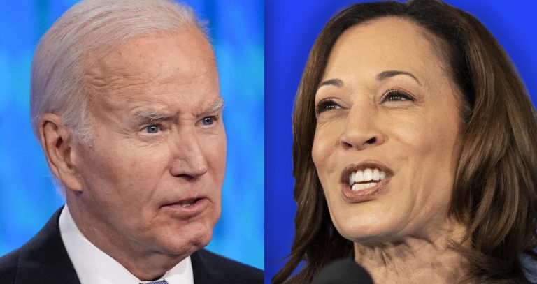 Who might take over for Biden as the Democratic nominee?