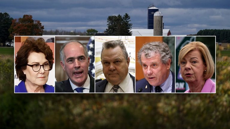 Conservative group criticizes Democratic politicians on inflation in expensive ad campaign