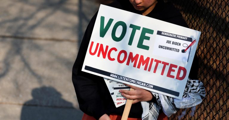 Democratic delegates from Gaza push to be heard at convention.