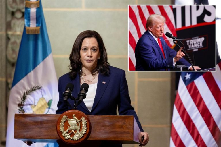 Donald Trump will not have trouble beating Kamala Harris.