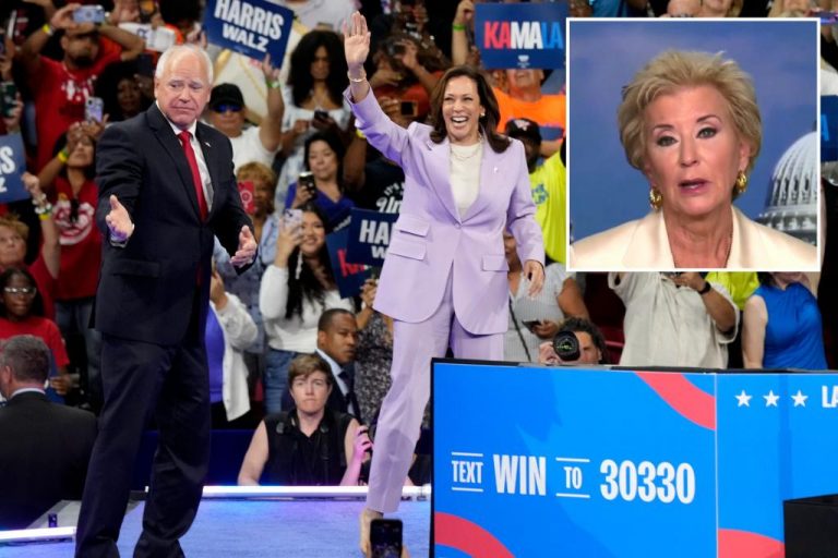 Former Trump official worries about small businesses under a Harris administration.