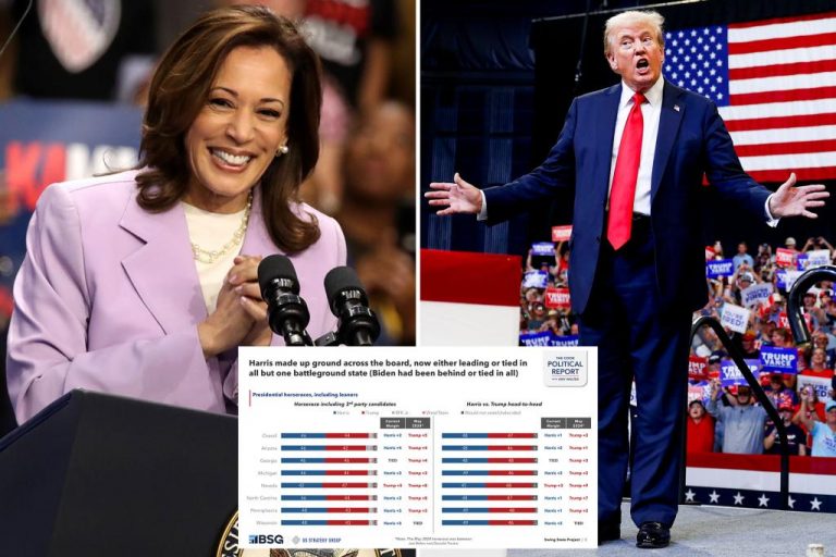 Kamala Harris leads in most battleground states against Donald Trump: poll