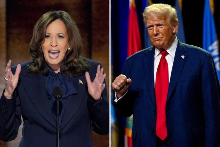 Poll shows Trump slightly more popular than Harris in North Carolina.