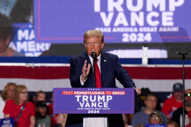 Donald Trump says Democrats are not allowing him to have enough Secret Service agents and are restricting the size of his rallies.