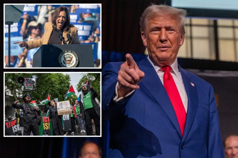 More Muslim-American voters support Trump, with 7% rise since 2020: poll