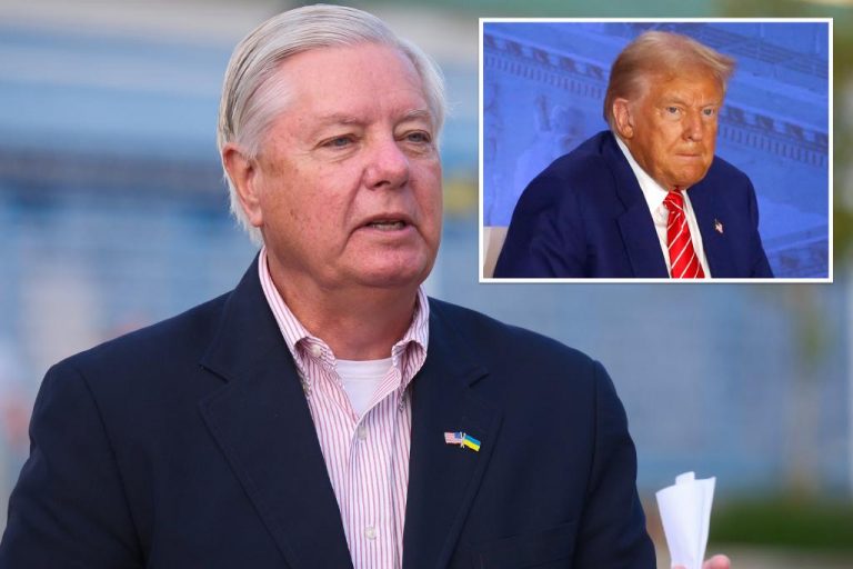 Sen. Lindsey Graham does not support Trump’s plan for free IVF treatments.