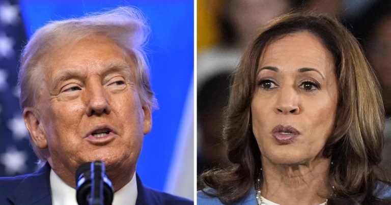 Trump and Harris preparing for their first debate in 2024