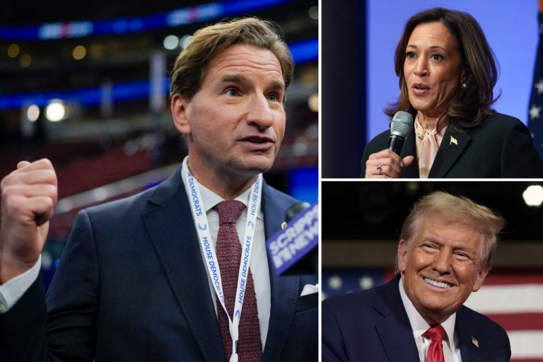 Democrat Dean Phillips criticizes Kamala Harris for talking too much about Trump and losing voters