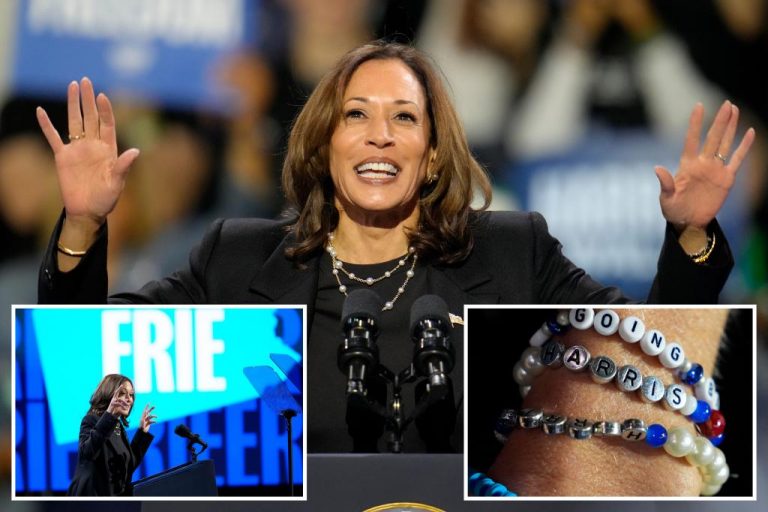 Harris criticizes Trump more after armed man is arrested at her rally.