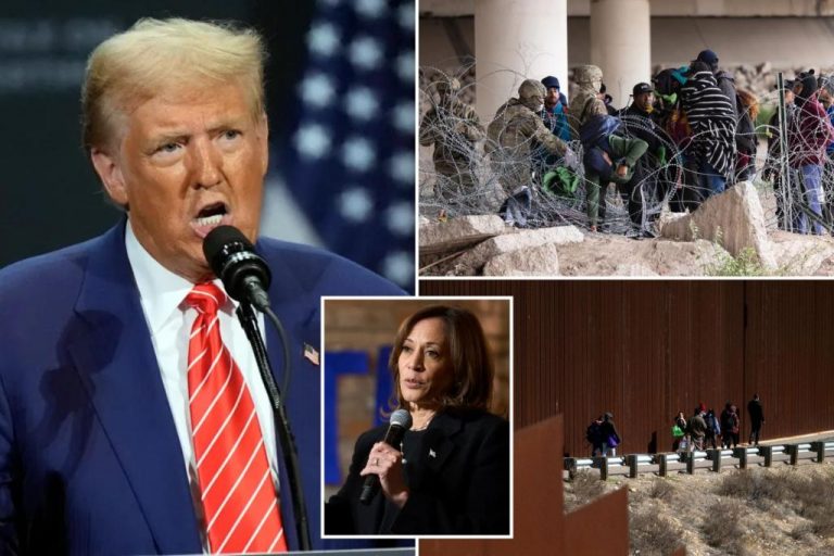 Trump says fixing Harris-Biden immigration policies will be difficult and predicts mass deportation propaganda.