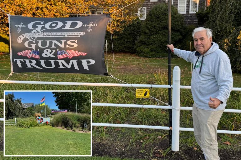 Trump supporter uses electricity to protect his campaign signs from vandals in the Hamptons.